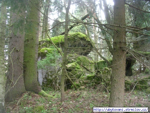 1. Bunkr mezi Strmilovem a Jeníkovem