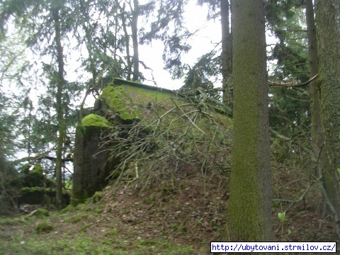 1. Bunkr mezi Strmilovem a Jeníkovem