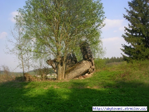 Bunkr na pozemku připadajícímu k rekreačnímu objektu Vodní ráj