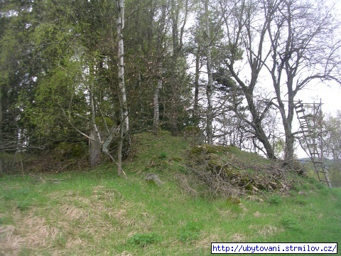 1. Bunkr mezi Strmilovem a Jeníkovem