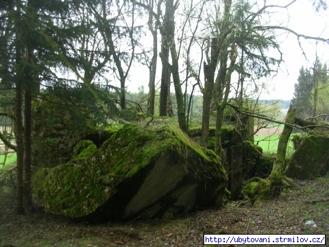 1. Bunkr mezi Strmilovem a Jeníkovem