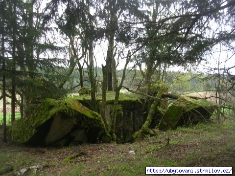 1. Bunkr mezi Strmilovem a Jeníkovem