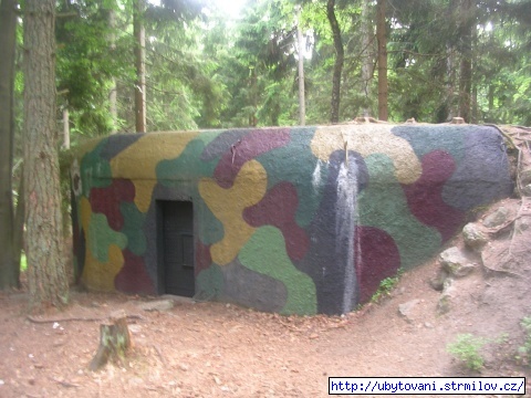 Bunkr mezi Novou Bystřicí a Landštejnem - 1. linie