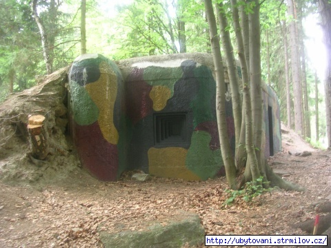 Bunkr mezi Novou Bystřicí a Landštejnem - 1. linie