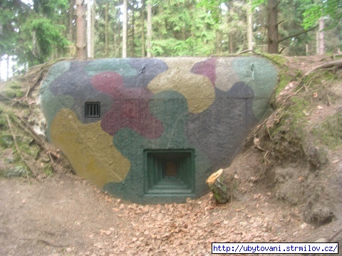 Bunkr mezi Novou Bystřicí a Landštejnem - 1. linie