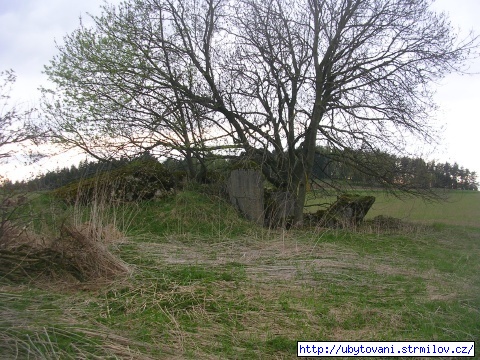 2. Bunkr mezi Strmilovem a Jeníkovem