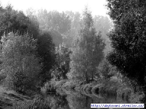 Moravská Dyje