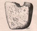 Zlomek neolitického kladívka nalezený ve Strmilově 1922